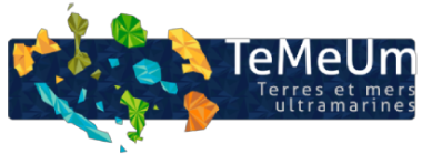 TeMeUm